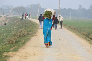 Farm labourer